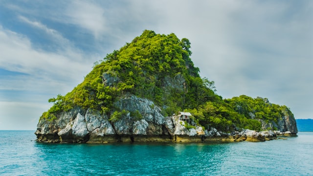 Island Economy